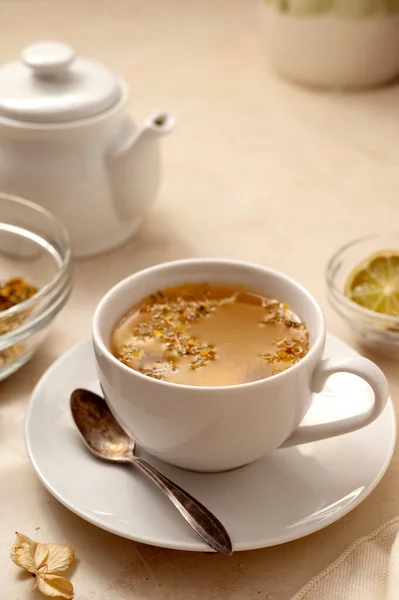 Tasse Tee Vorhanden Warme Köstliche Tasse Erfrischenden Kräutertee Und Teekanne — Stockfoto