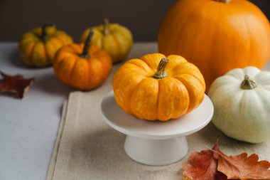 Masanın üzerinde turuncu mini balkabakları, soyut sonbahar arkaplanı