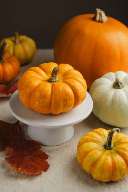 Masanın üzerinde turuncu mini balkabakları, soyut sonbahar arkaplanı