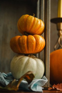 Turuncu ve beyaz balkabakları, kırsal ahşap kaplama, sonbahar konsepti.