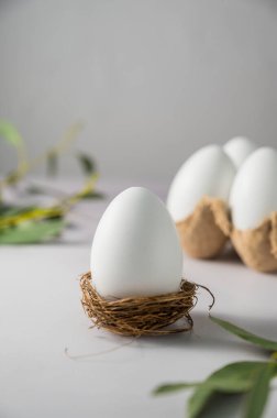 Yuvadaki Paskalya beyaz yumurtası, soyut bahar tatili geçmişi.