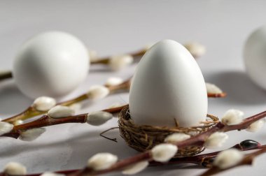 Paskalya geçmişi. Yuvada söğüt dalları ve beyaz yumurta. Bahar geldi. Minimalist ve parlak bir kavram.