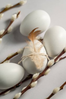 Paskalya geçmişi. Söğüt dalları ve beyaz yumurtalar. Bahar geldi. Minimalist ve parlak bir kavram.