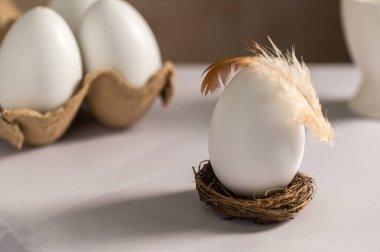 Paskalya tatili. Kuş tüyü bir yuvada beyaz yumurta, parlak minimalist bir arka plan.