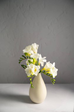 Beyaz çiçek baharı, paskalya arkaplanı. Vazoda Frezya beyaz çiçekleri.