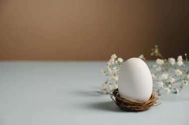 Yuvasında beyaz çikila çiçekli Paskalya yumurtası. Bahar tatili geçmişi.