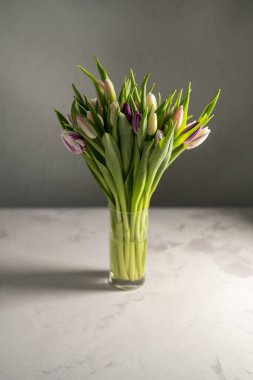 Bahar çiçeği arkaplanı. Taze mor, pembe ve beyaz laleler çiçek buketi. Karamsar. Anneler Günü.