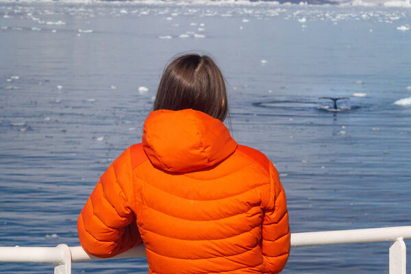 Woman on whale watching. Whale showing its tail from the water in Antarctica