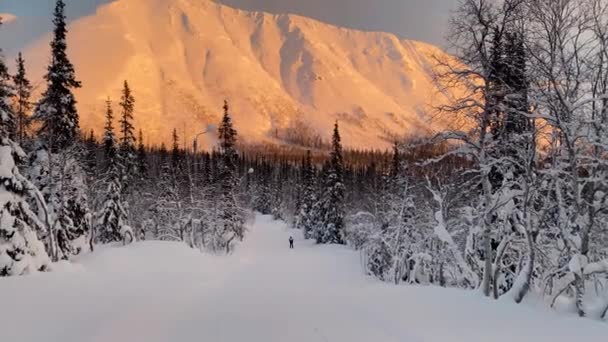 Idrottare utförsåkning längdskidåkning på en naturskön skogsstig vid solnedgången med berg i bakgrunden. — Stockvideo