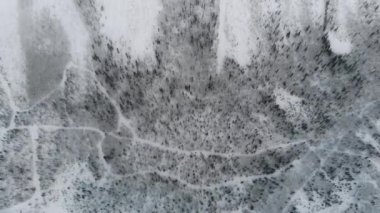 Ormanın panoramik manzarası ve karla kaplı dağ. İHA saldırısı. Hava görüntüsü. Kameranın yukarı doğru hareketi. Dağa yaklaşıyorum..