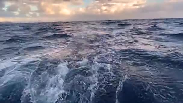 Парусная яхта просыпается в океане с прекрасным закатом на воде. Большие волны и катятся в море. Шторм в море. — стоковое видео