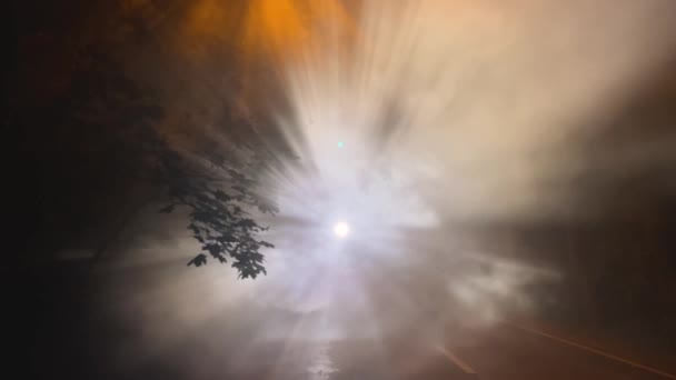 Paprsky zadního světla procházející v noci hustou mlhou v lese. Noční temný výstřel. — Stock video