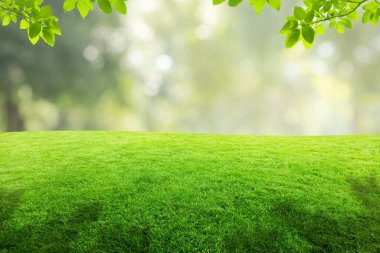 Yeşil doğal yeşil yapraklar ve yeşil çayır arazisi halka açık alanda bulanık görüntülü yeşil ağaçlar ve arka planda güneş ışığı bokeh.