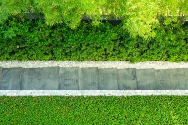 Bahçedeki yeşil çimen ve ağaçla kaplı Footpath ya da walk way 'in üst görünümü.