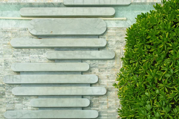 Vista Superior Pedra Pedestre Atravessar Piscina Arbusto Quase Verde — Fotografia de Stock