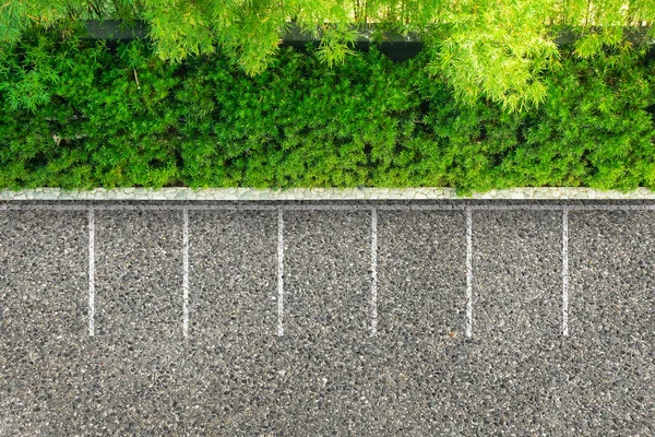 Estacionamento Vazio Estrada Asfalto Arbusto Quase Verde Árvores Vista Aérea — Fotografia de Stock