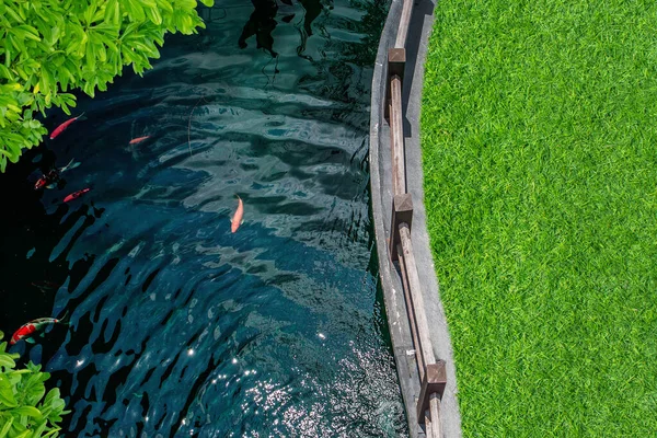 Концепция Наружного Дизайна Верхний Вид Пресной Воды Пруду Зеленым Лугом — стоковое фото