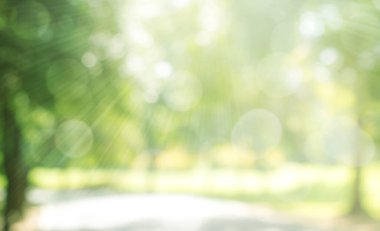 Parlak bokeh ve güneş ışığı ile soyut yeşil bulanık arkaplan.