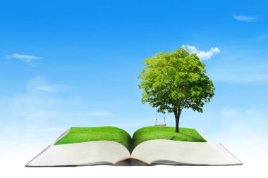 Yeşil Ekoloji Konsepti: Arka planda mavi gökyüzü olan açık kitaptan yeşil ağaç büyümesi.