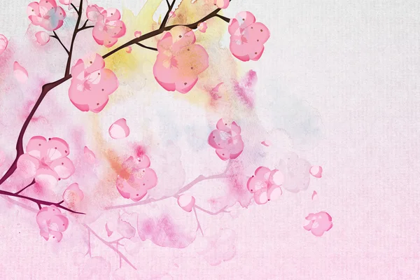 Asiático Sakura Flor Fundo — Fotografia de Stock