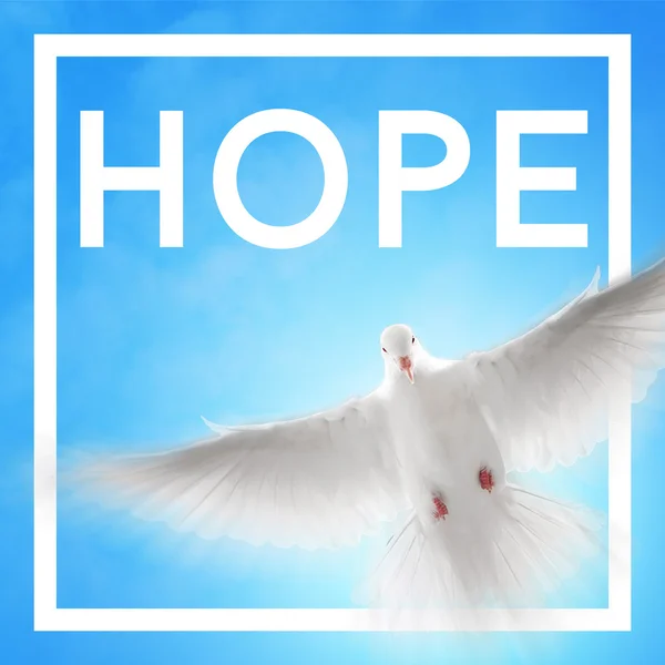 Hope Mourning Square Background — Stock Photo, Image