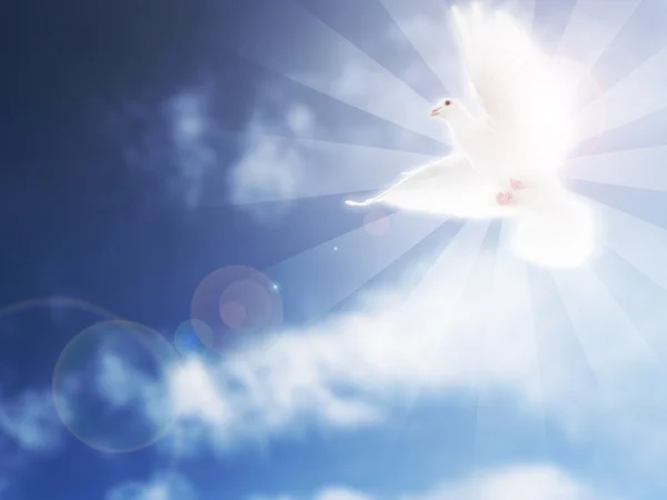 Dove Sky Funeral Image — Stock Photo, Image