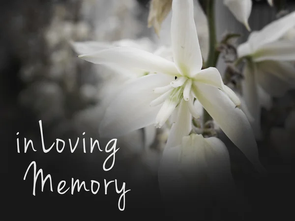 in Loving Memory Funeral Image