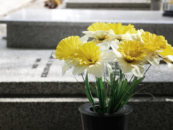 坟场背景下的黄花 — 图库照片