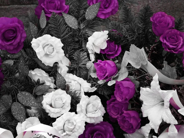 Purple Roses Funeral Image — Stock Photo, Image