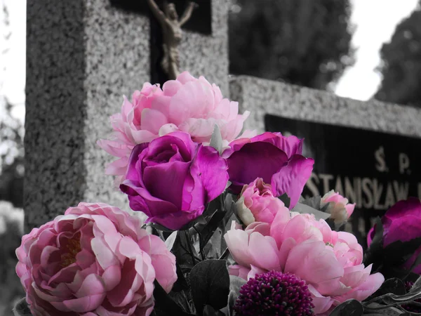 Flores Rosadas Fondo Del Cementerio Tumba —  Fotos de Stock