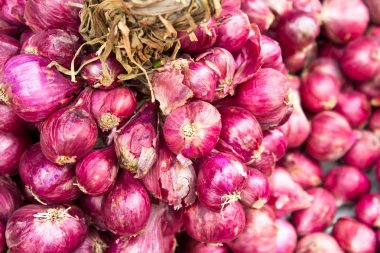 taze küçük kırmızı scallions