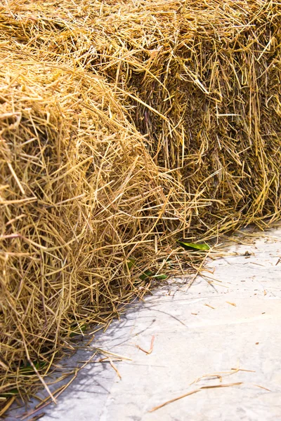 Bale de palha — Fotografia de Stock