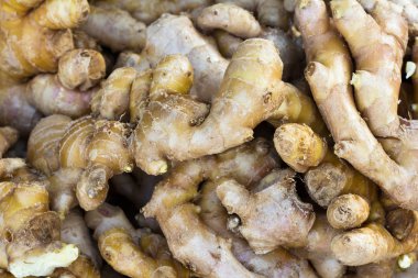 taze organik zencefil