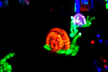 Salyangoz ışık bokeh bulanıklık