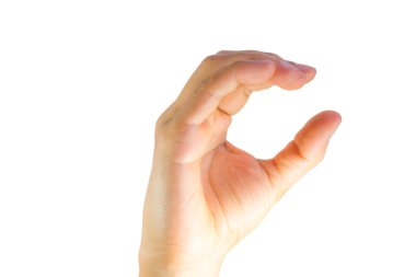 Parmak alfabesi Amerikan işaret dili yazım