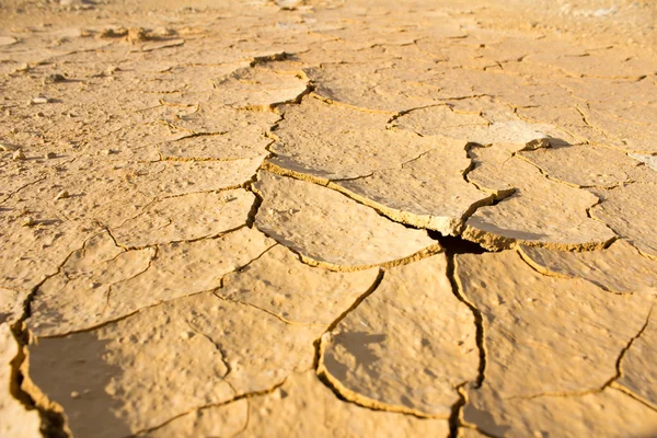 Close up  dry cracked ground