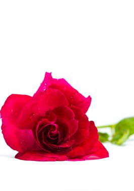 Kırmızı Pul Biber