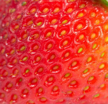 Taze çilek izole edilmiş.