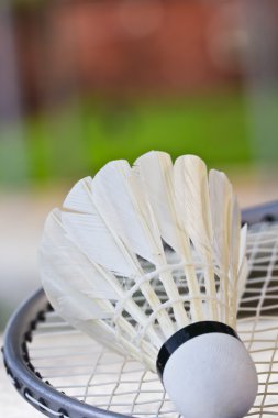 Badminton raketleri ve mekik horozu