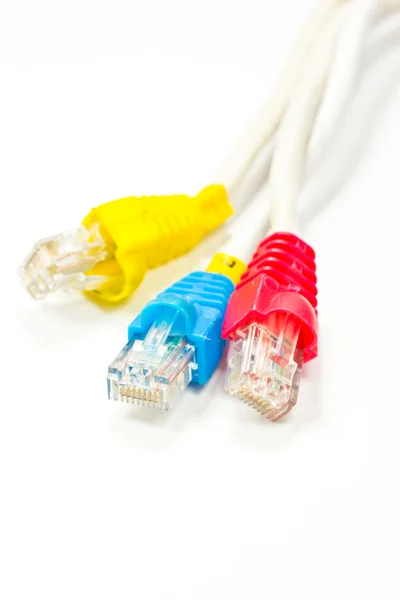 Computer network cables — Stock Photo, Image