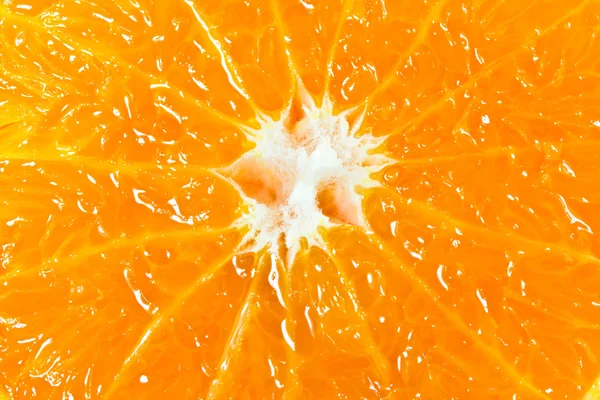 橙色的宏 — 图库照片