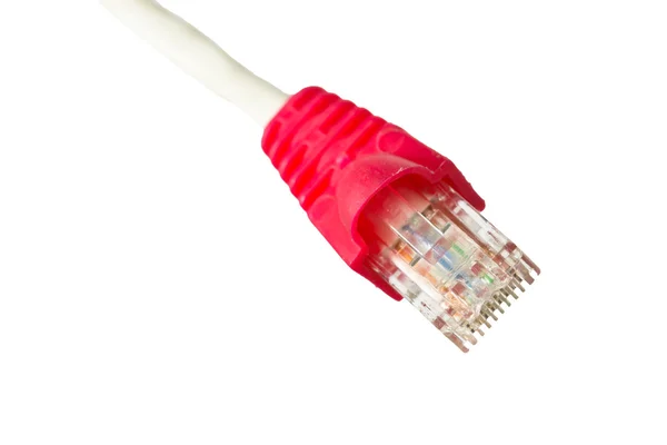 Bilgisayar ağ kabloları — Stok fotoğraf