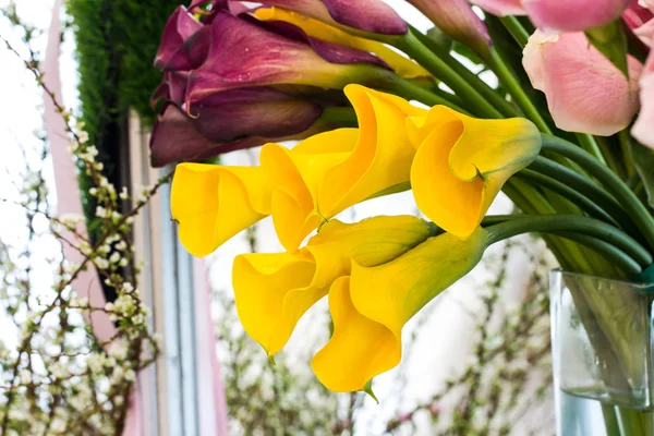 Tuore keltainen kukka — kuvapankkivalokuva