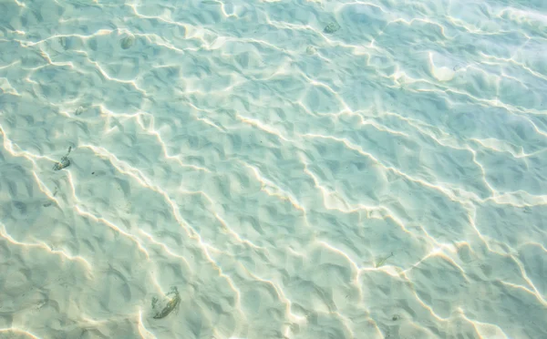 Il mare tropicale — Foto Stock