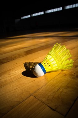 Raketle badminton Sahası
