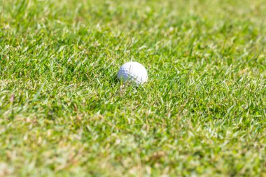 Yeşil çim arka planda golf topu