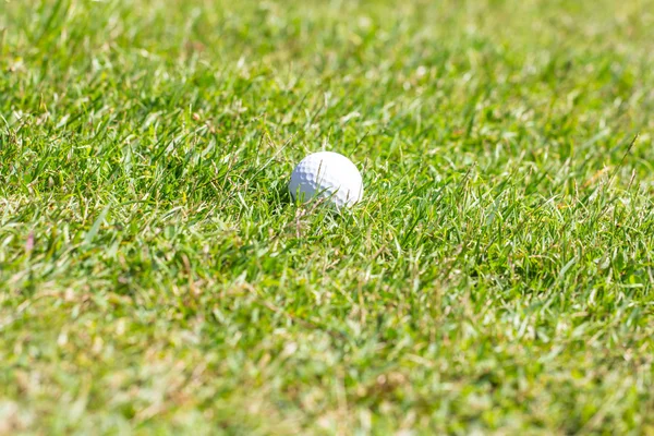 Golfball auf grünem Gras Hintergrund — Stockfoto