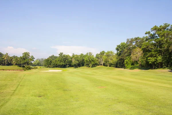 Campo de golfe grama verde — Fotografia de Stock