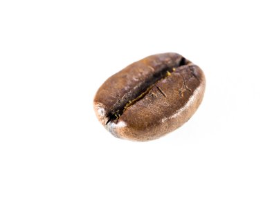 Beyaz arkaplanda kahve çekirdeği