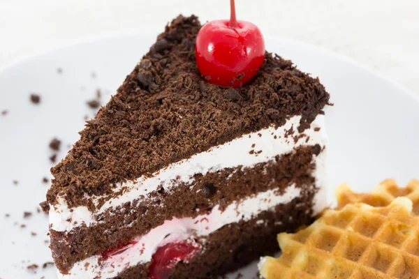 Rebanada de pastel de chocolate en el plato — Foto de Stock